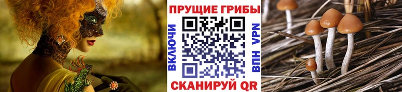 Галлюциногенные грибы мухоморы Сухиничи